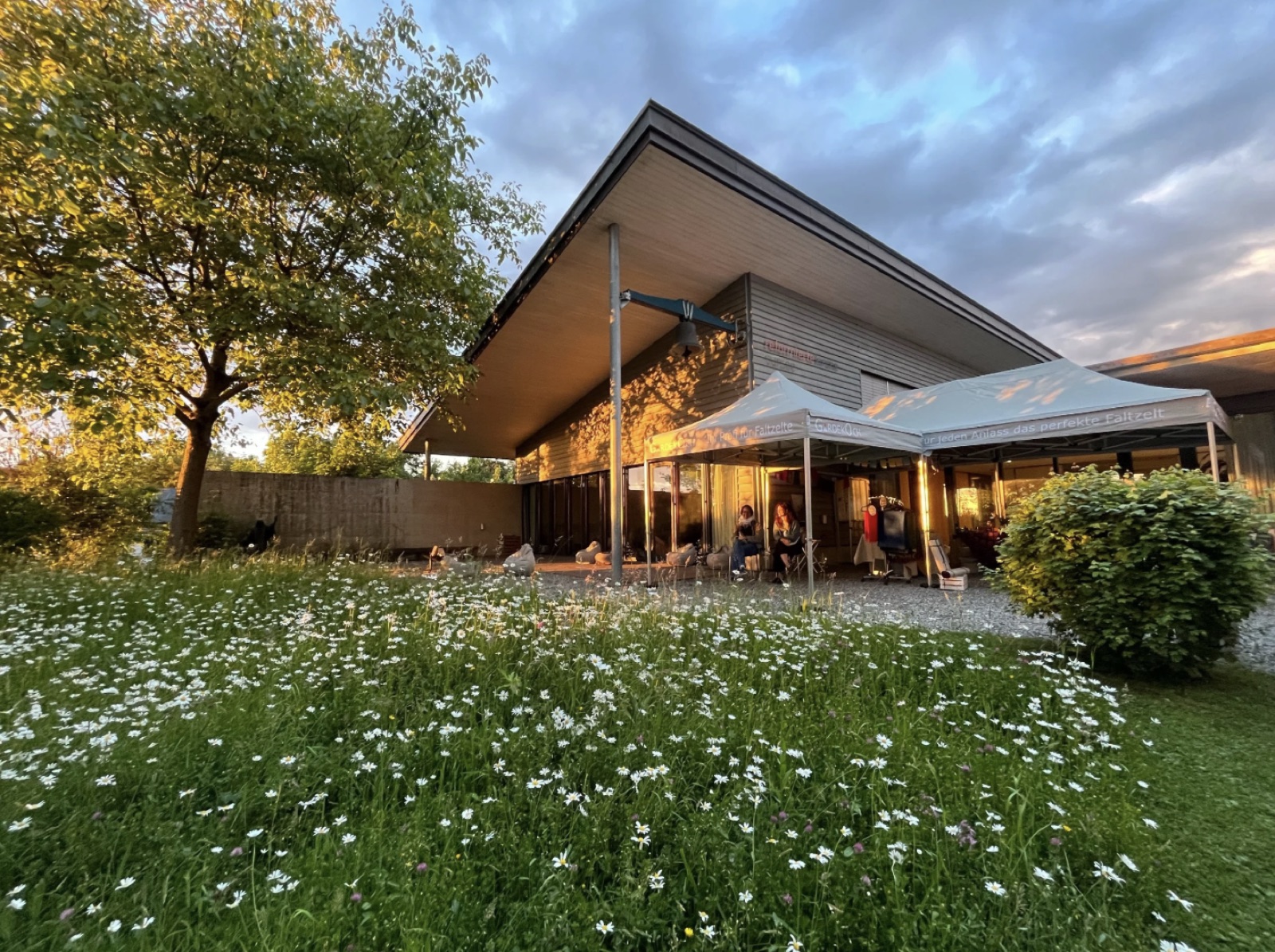 Das Haus mit der Blumenwiese im Abendlicht